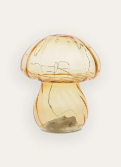CHAMPIGNON LUMINEUX AMBRE