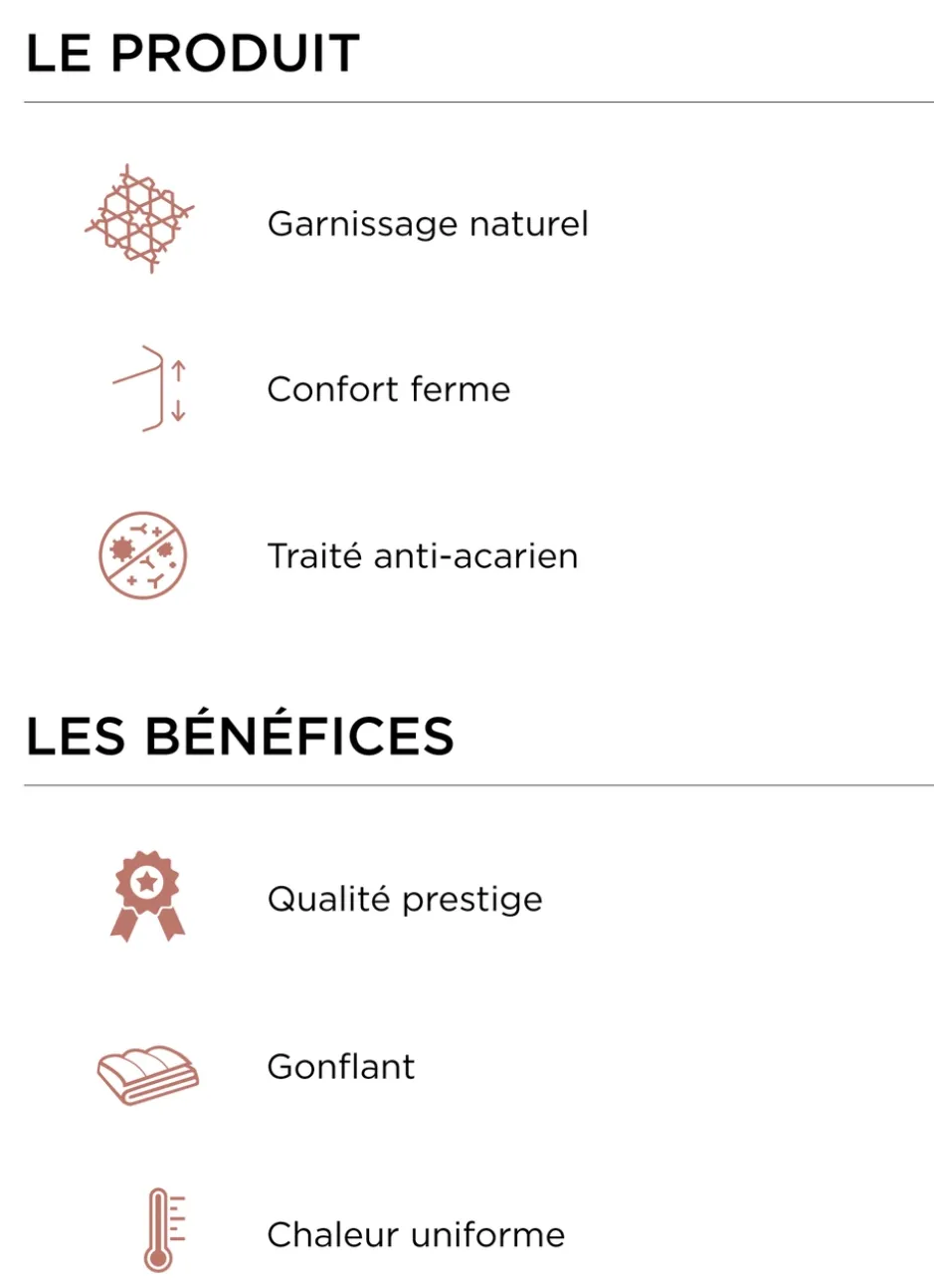 OREILLER RECTANGULAIRE NATUREL FERME ANTI-ACARIENS BLANC